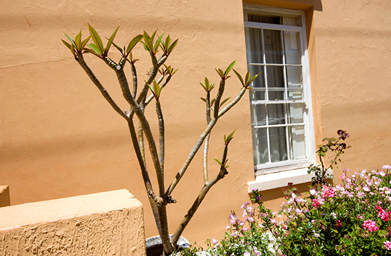 色彩与效果之辩 摩天外墙涂料VS瓷砖_建设工