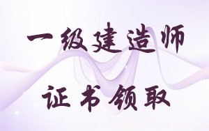 一级建造师执业资格考试登记表