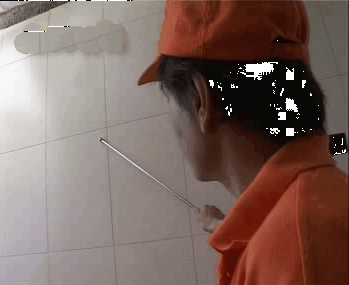 ǽשĲ˳ʲô