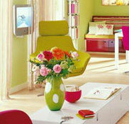 ����ס���ǹ�ɫ�����ջ�