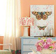 Ӫ��������ʽ��԰��