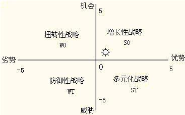 企业战略选择