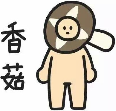 二建复习书太厚 蓝瘦香菇