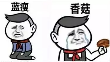 用盗版课件学习 你失去的足以让你蓝瘦香菇