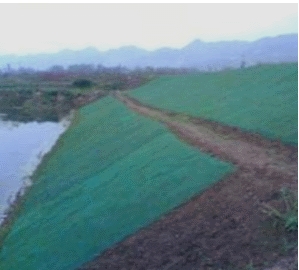 二级建造师公路实务移动精讲班--防护与支挡工程类型