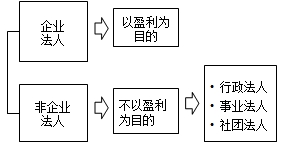 法人的分类