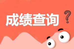 2017年安全工程师成绩查询入口