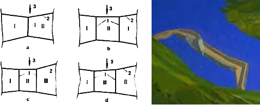 二级建造师水利实务知识点：导流方法