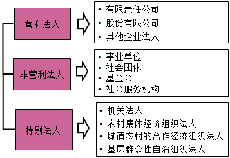 法人的分类