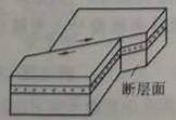 图片8