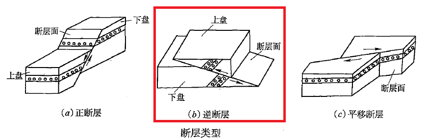 图片10