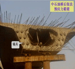 图片182