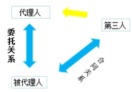 建设工程代理法律关系