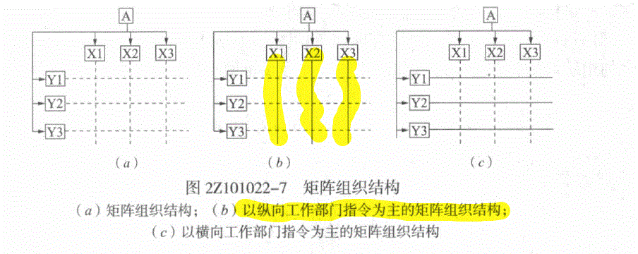 矩阵组织