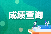 房地产估价师考试成绩查询