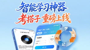 安全考搭子